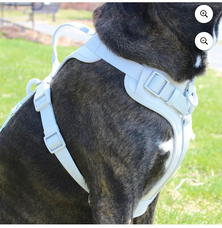 Vibrant Life Neoprene Comfort Control Monochrome Harness