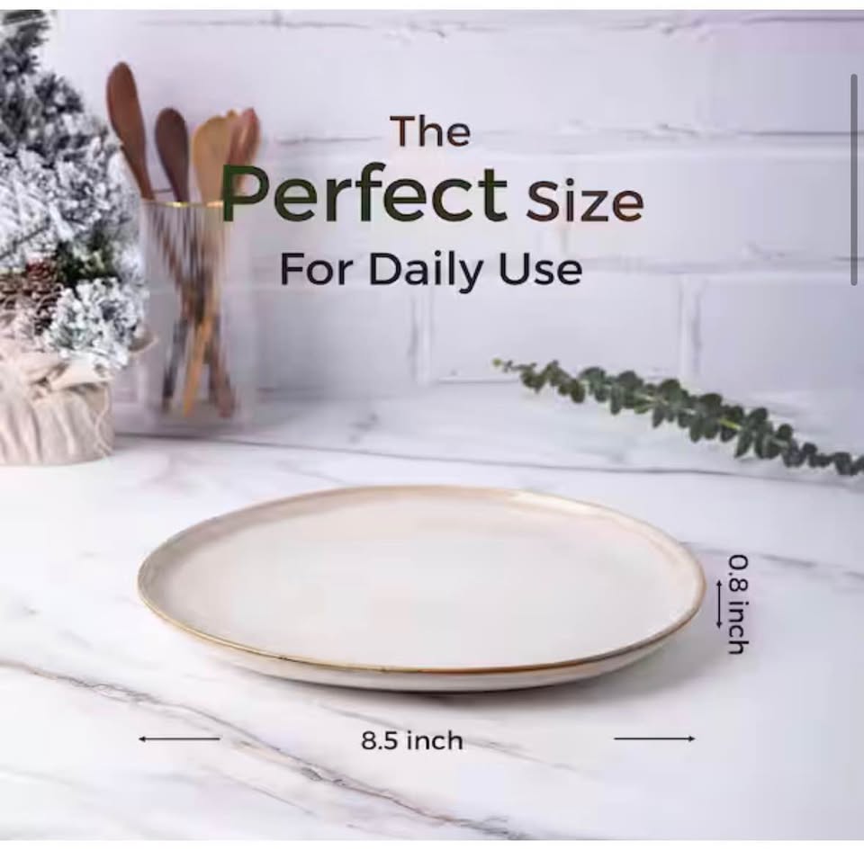 Numhew Cappuccino Reactive Glaze Stoneware Plates Set of 6