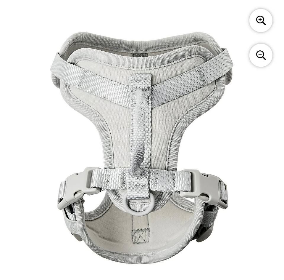Vibrant Life Neoprene Comfort Control Monochrome Harness