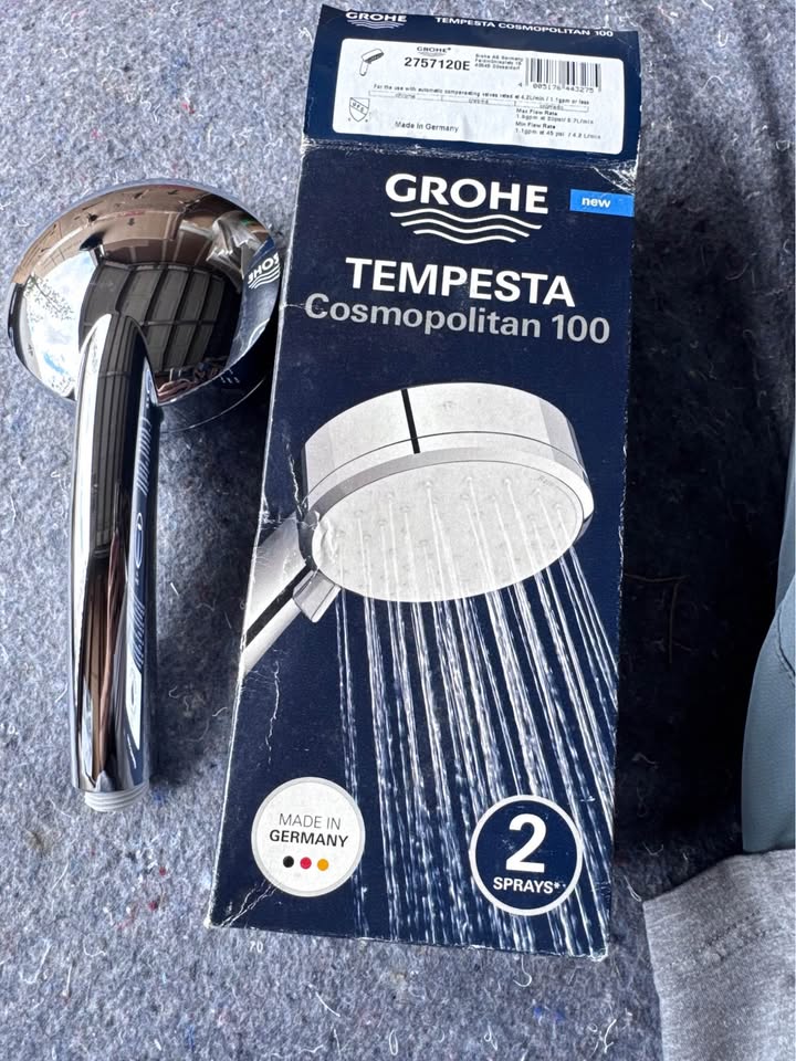GROHE Tempesta 4 in. 2-Spray Handheld Shower Head Chrome