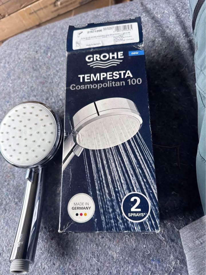 GROHE Tempesta 4 in. 2-Spray Handheld Shower Head Chrome