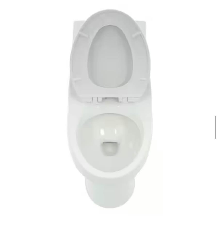 Glacier Bay McClure One-Piece Dual Flush Elongated Toilet, White – Seat Included