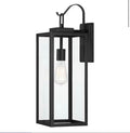 Pia Ricco Black Outdoor Wall Lantern Light with Glass Shade
