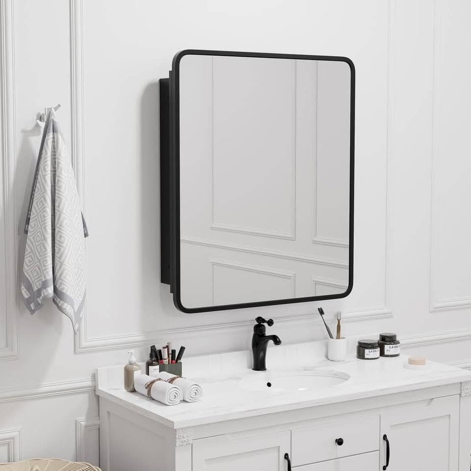 Lirago 24 in. W x 30 in. H Medicine Cabinet with Mirror in Black