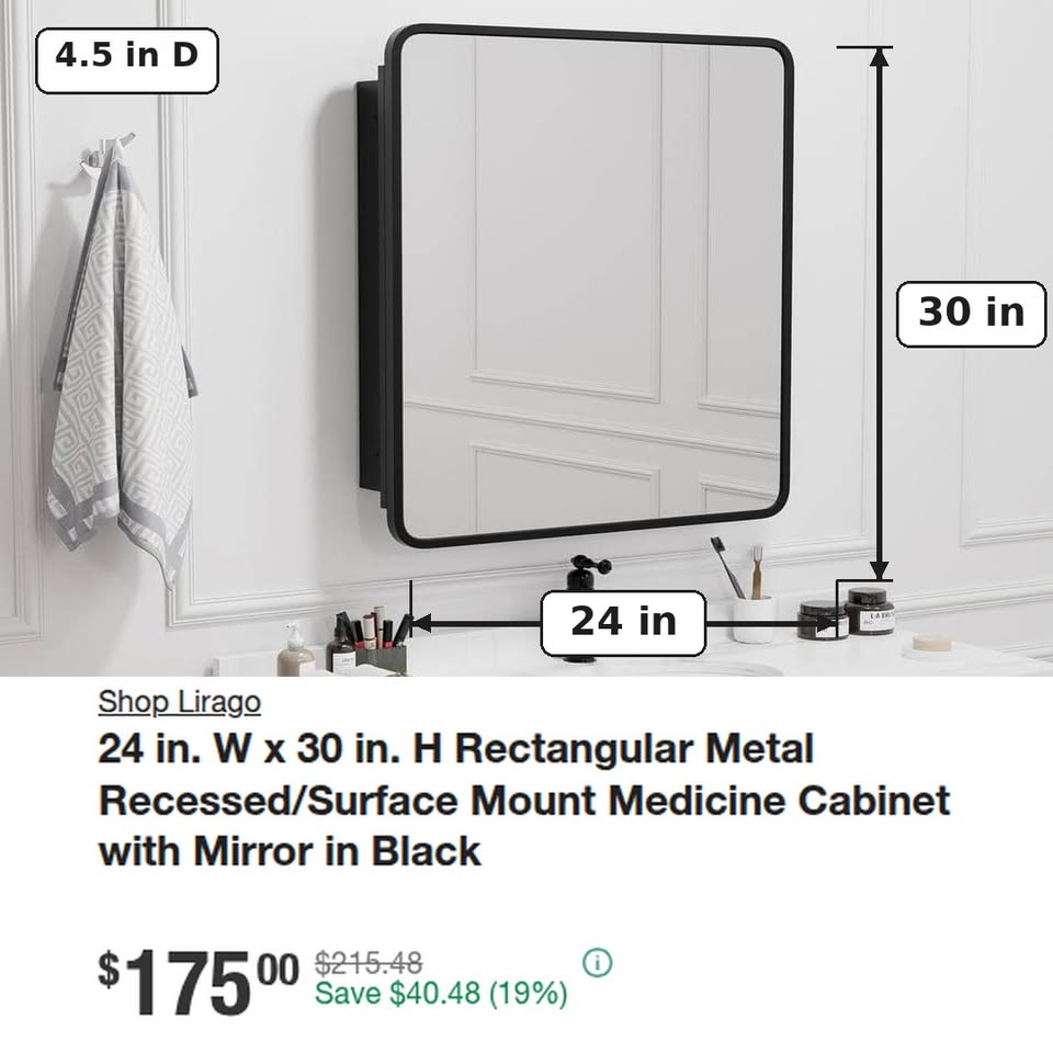 Lirago 24 in. W x 30 in. H Medicine Cabinet with Mirror in Black